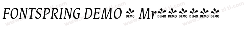 FONTSPRING DEMO - Mr字体转换